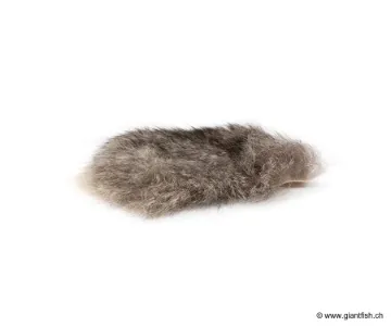 Poils d'Oppossum Devaux