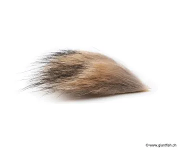 Poils de Coyotte Devaux