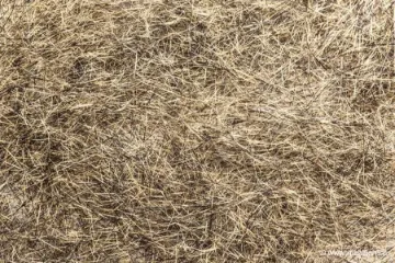 Dubbing de Lièvre Devaux Naturel DVX