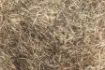 Bild von Devaux Hasendubbing Natur DVX