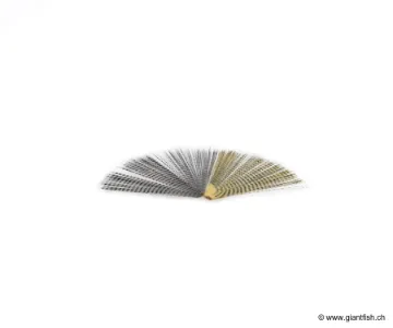 Fibre Synthétique Devaux FLY TAILS ZEBRE