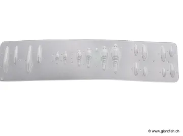 Moule Nymphe/Gammare Devaux UV