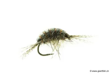 Mouche Devaux Gammare TUNG GAMT 01
