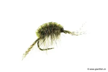 Mouche Devaux Gammare TUNG GAMT 03