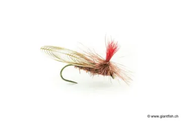 Mouche Devaux Sedge Parachute GDC 6