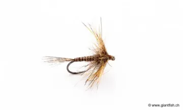 Mouche Devaux Emergente HL 06