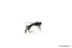 Image de Mouche Devaux Terrestre JBBM 01