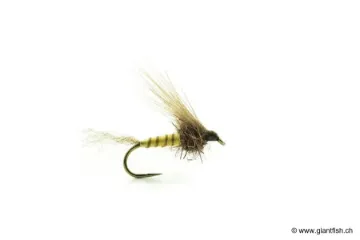 Mouche Devaux Emergente JBE 01