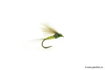 Mouche Devaux Emergente JBE 04