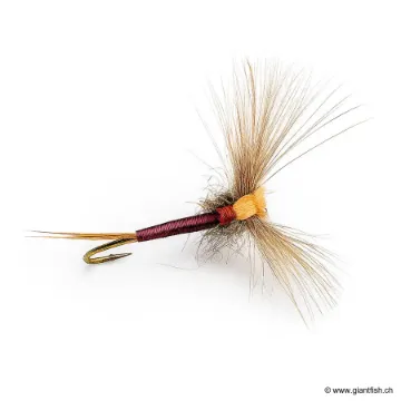 Mouche Devaux Emergente JBE 05-QR