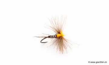 Mouche Devaux Emergente JBE 08