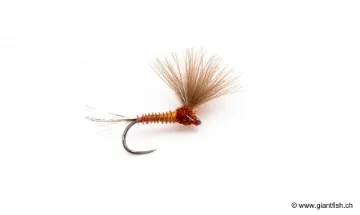 Mouche Devaux Emergente JBE 10