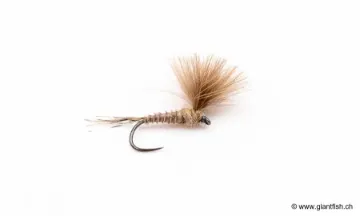 Mouche Devaux Emergente JBE 12