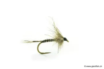 Mouche Devaux Emergente JBE 48