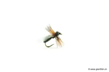 Mouche Devaux Terrestre JBF 01