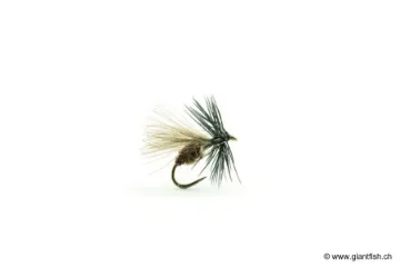 Mouche Devaux Terrestre JBF 02