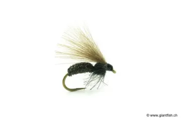 Mouche Devaux Terrestre JBF 03