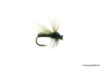 Mouche Devaux Terrestre JBF 04