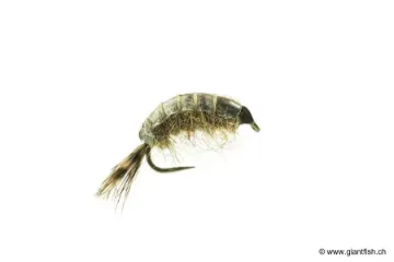 Mouche Devaux Gammare JBG 00