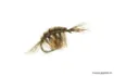 Picture of Devaux Gammarus Fly JBG 02