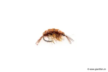 Mouche Devaux Gammare JBG 02