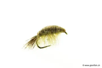 Mouche Devaux Gammare JBG 03