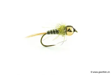 Mouche Devaux Nymphe Bille Laiton JBNB 02