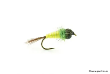 Mouche Devaux Nymphe Bille Laiton JBNB 05