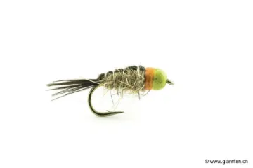 Mouche Devaux Nymphe Bille Laiton JBNB 12