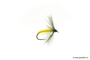 Mouche Devaux Noyée JBNO 02