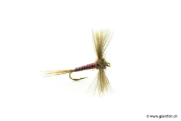 Mouche Devaux Spent JBS 01