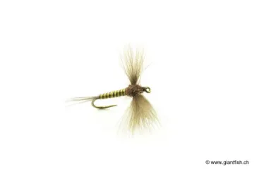 Mouche Devaux Spent JBS 02