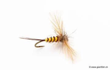 Mouche Devaux Spent JBSMAI 01