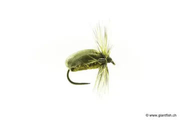 Mouche Devaux Terrestre JBT 02