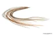 Picture of Devaux Top-Quality Cock Hackle