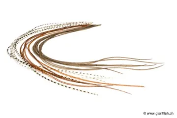 Lancette de Coq Devaux Top Qualité