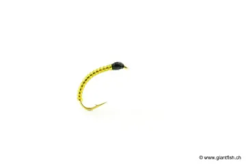 Mouche Devaux Chironome LCH 02