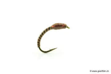 Mouche Devaux Chironome LCH 31