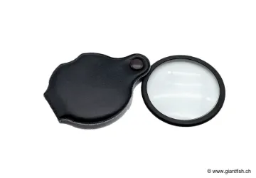 Loupe Devaux Slide Carson 4X