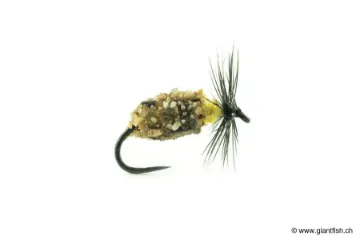 Mouche Devaux Gammare LPP 02