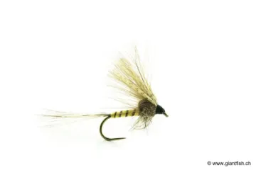 Mouche Devaux Emergente MAI 01