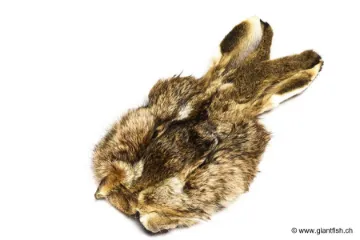 Masque de Lièvre Devaux avec Oreilles