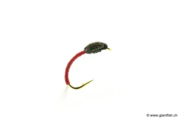 Mouche Devaux Chironome NCH 01