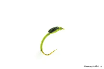 Mouche Devaux Chironome NCH 06