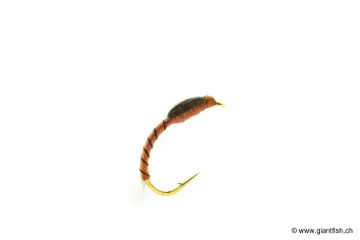 Mouche Devaux Chironome NCH 08