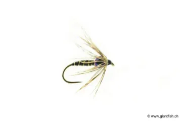 Mouche Devaux Noyée NTT 07