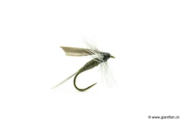 Mouche Devaux Ephémère ORNANS 02