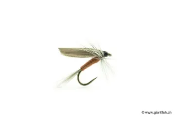 Mouche Devaux Ephémère ORNANS 03