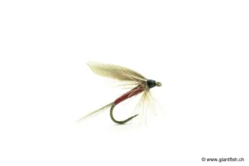 Mouche Devaux Ephémère ORNANS 04