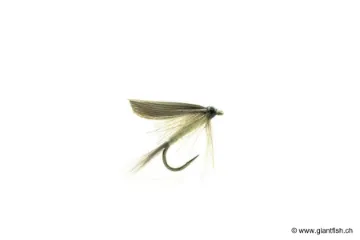 Mouche Devaux Ephémère ORNANS 05